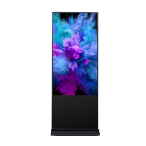 65 Inch Indoor Digital Signage Standee